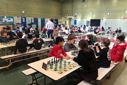 Q300ChessTournament2020