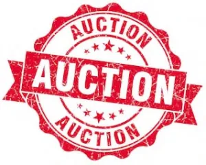 Read more about the article 2017 Spring Auction Fundraiser