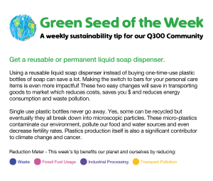 Read more about the article Green Seed of the Week: Tue, March 8, 2022