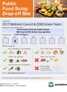Read more about the article Food Scrap Drop Off (composting) site at PS17/Q300 in Spring 2022
