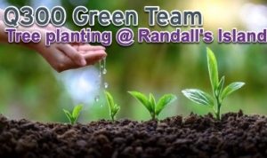 Read more about the article Randall’s Island Park Alliance Tree Planting event (5/14/2022)