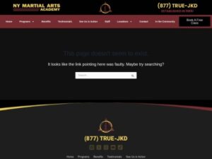 Read more about the article Q300 PTA Fundraiser: NY Martial Arts Academy 2026